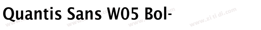 Quantis Sans W05 Bol字体转换